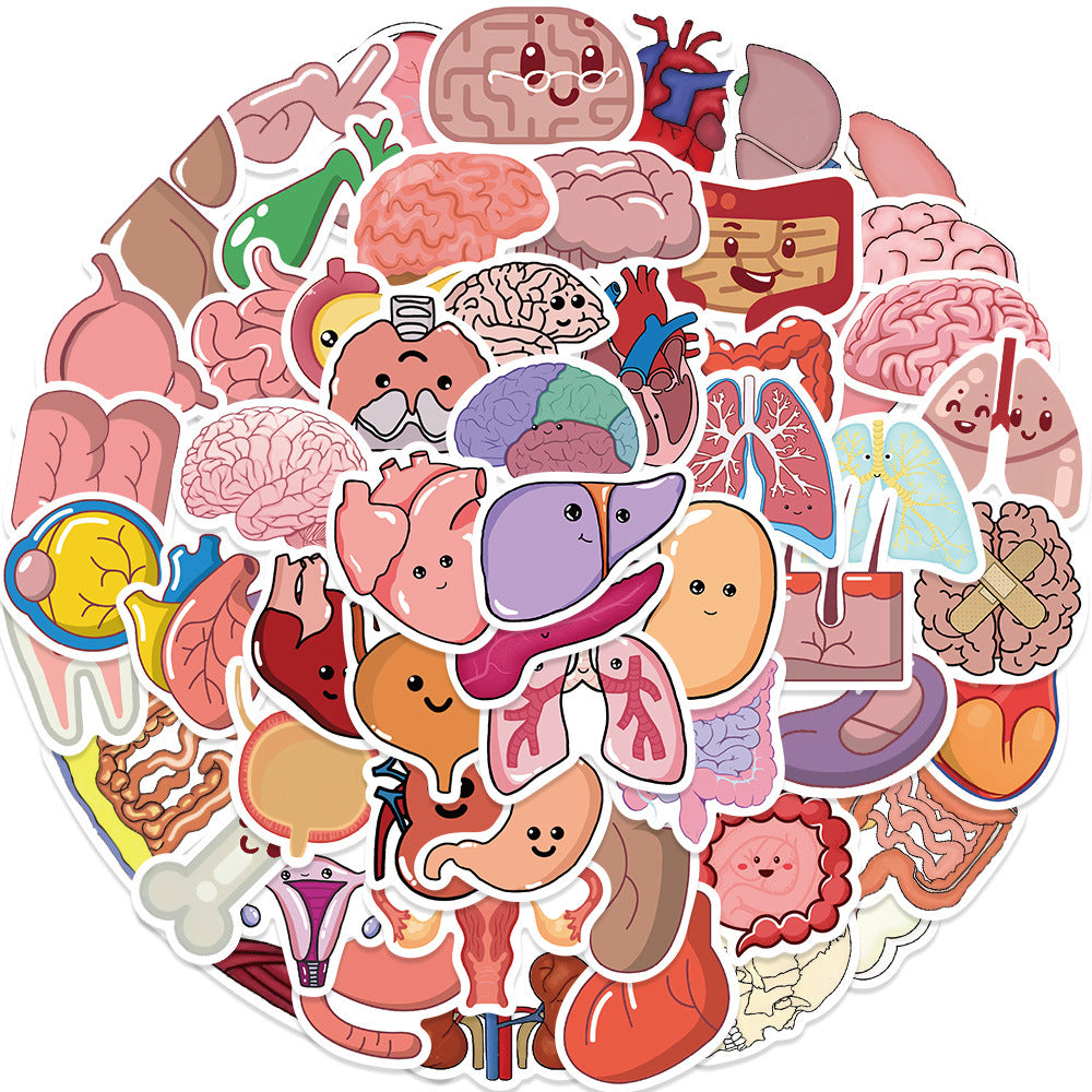 65pc Human Organs Cartoon Stickers DIY Room Decoration