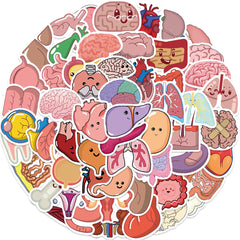 65pc Human Organs Cartoon Stickers DIY Room Decoration