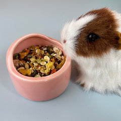 Ceramic Hamster Food Bowl Golden Hamster Feeder