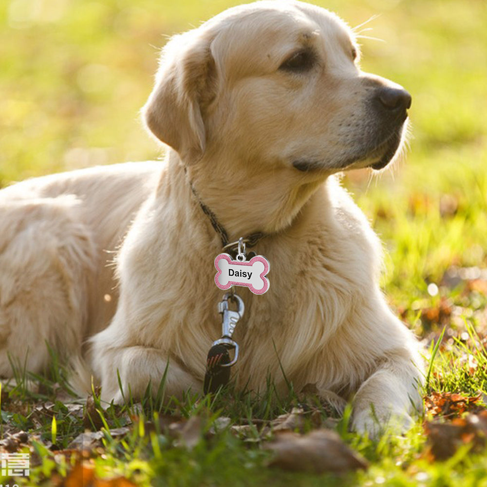 Custom Sparkling Dog Tags - Engraved Pet ID Tag