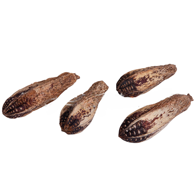 12pcs Pet Parrot Natural Grinding Toys Bird Chew Toys Dried Fruit Blocks