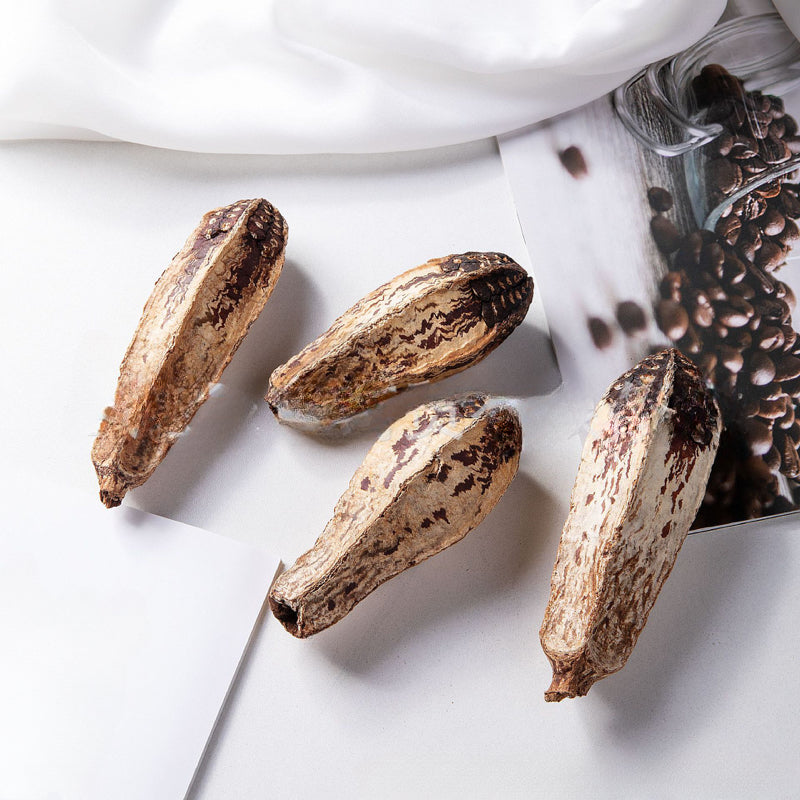 12pcs Pet Parrot Natural Grinding Toys Bird Chew Toys Dried Fruit Blocks