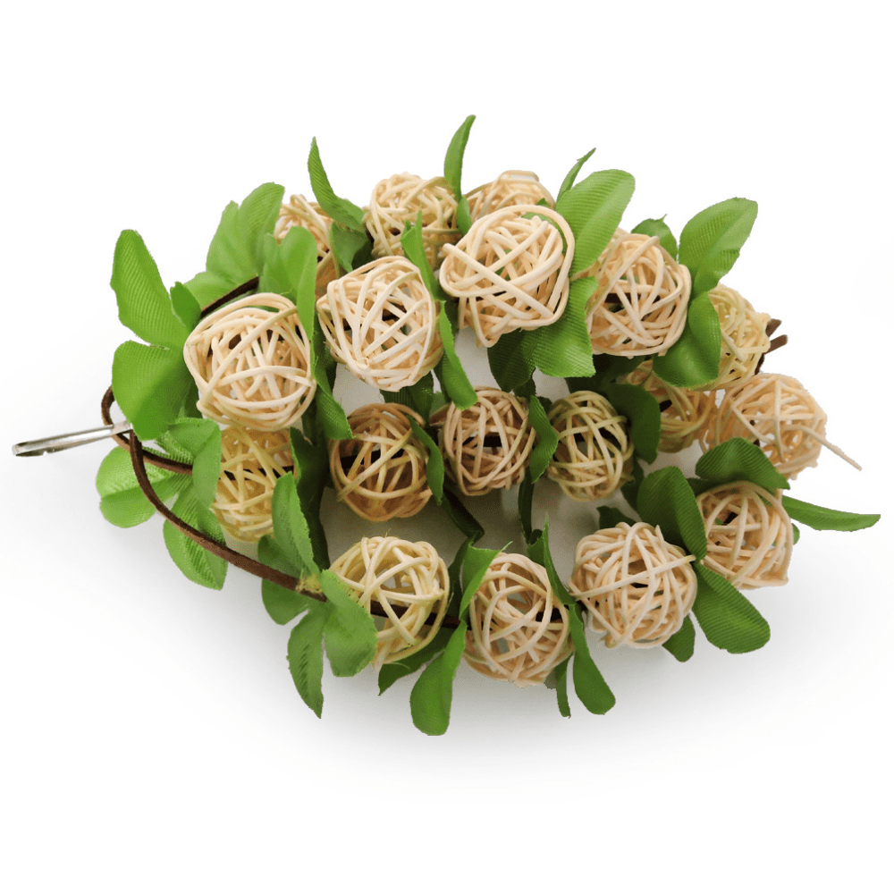 Parrot Toys Hanging Wooden Birds Ball Toy Bird Cage Bite Toys