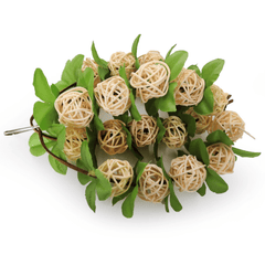 Parrot Toys Hanging Wooden Birds Ball Toy Bird Cage Bite Toys