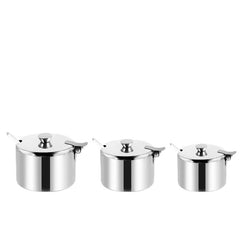 Stainless Steel Seasoning Box with Spoon Clear Spice Pots