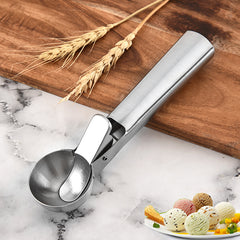Stainless Steel Ice Cream Scoop & Fruit Spoon