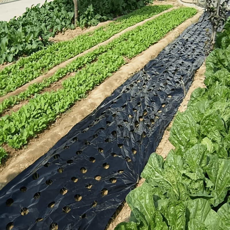 Breathable Mulch Weed Control Barrier for Gardening - Pack of 1