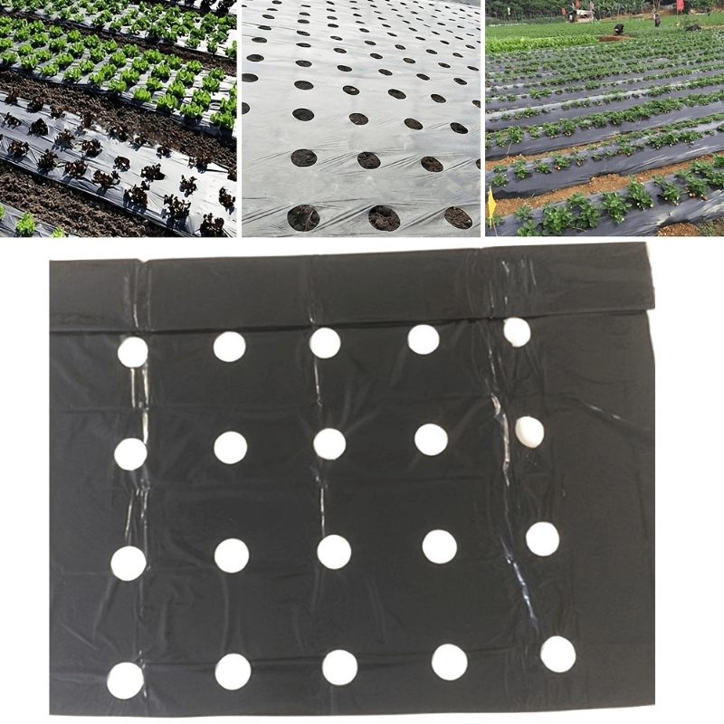 Breathable Mulch Weed Control Barrier for Gardening - Pack of 1