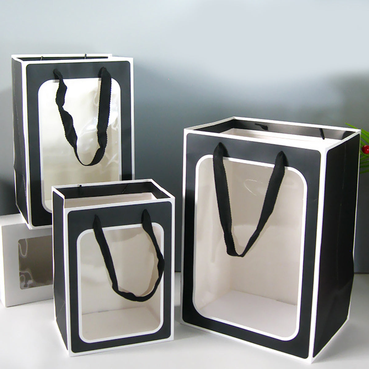 4 Clear Gift Bags 9.8x7.1x5.1 25 Large Gift Boxes