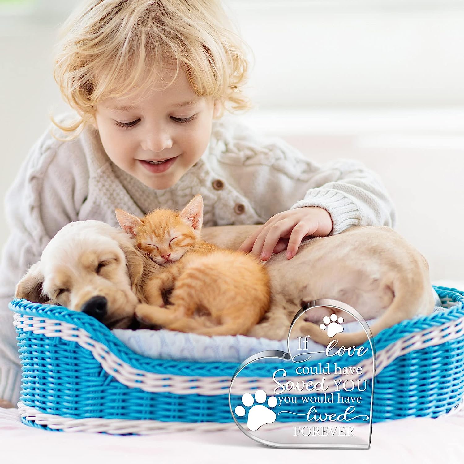 Crystal Acrylic Heart Decor Pet Memorial Gift Cat