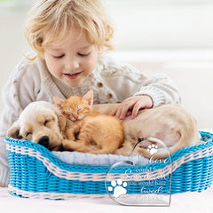 Crystal Acrylic Heart Decor Pet Memorial Gift Cat