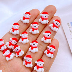 10pcs Christmas Nail Art Charm Flowers 3D DIY Accessories
