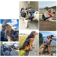 Reflective Dog Vest Harness With Handle, No Pull Chest Strap