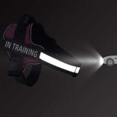 Reflective Dog Vest Harness With Handle, No Pull Chest Strap