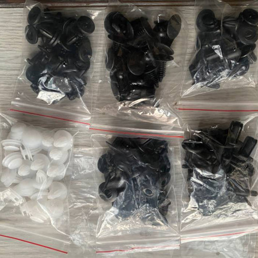 100pcs Mixed Car Buckle Fastener Set for Automotive Furniture Industry