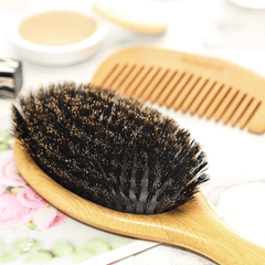 Natural Boar Bristle Hairbrush Anti static Scalp Massage Comb