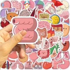 50pcs Cartoon Human Organ Medical Anatomy Stickers Laptop Bicycle Guitar Phone