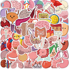 50pcs Cartoon Human Organ Medical Anatomy Stickers Laptop Bicycle Guitar Phone