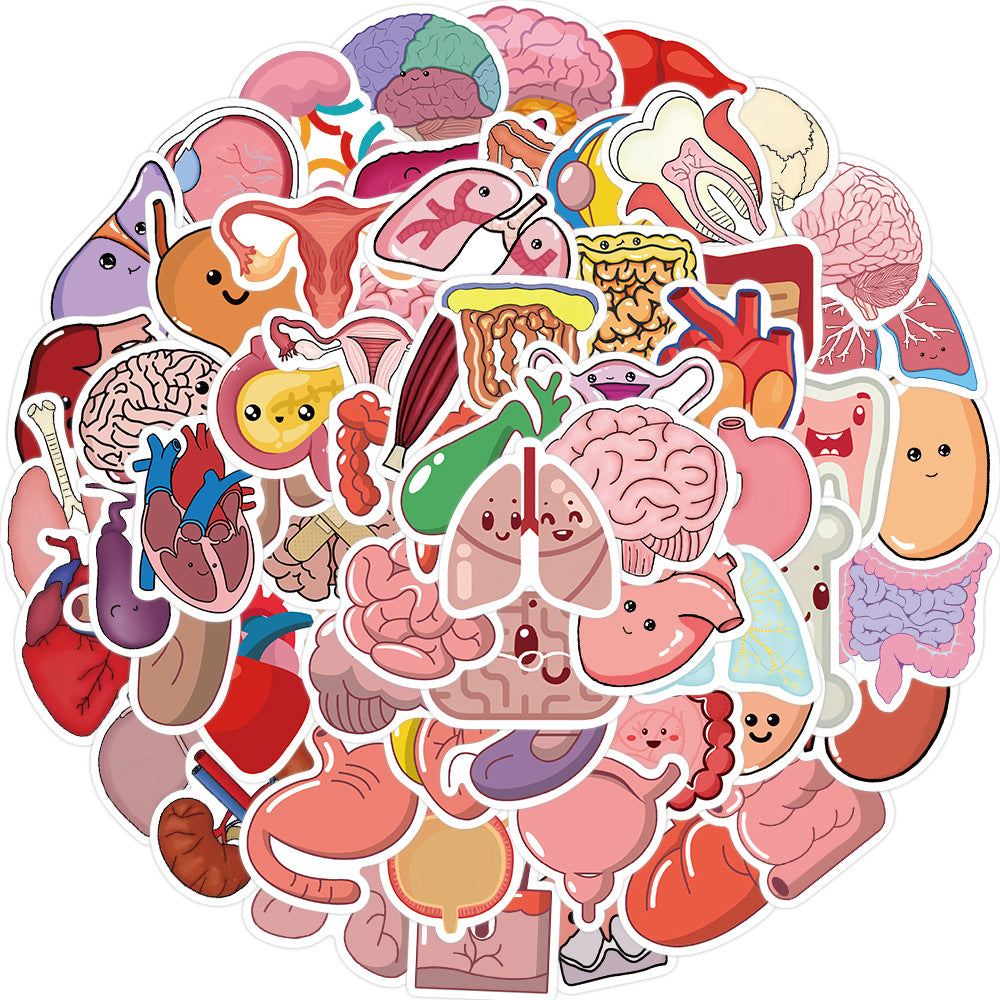 50pcs Cartoon Human Organ Medical Anatomy Stickers Laptop Bicycle Guitar Phone