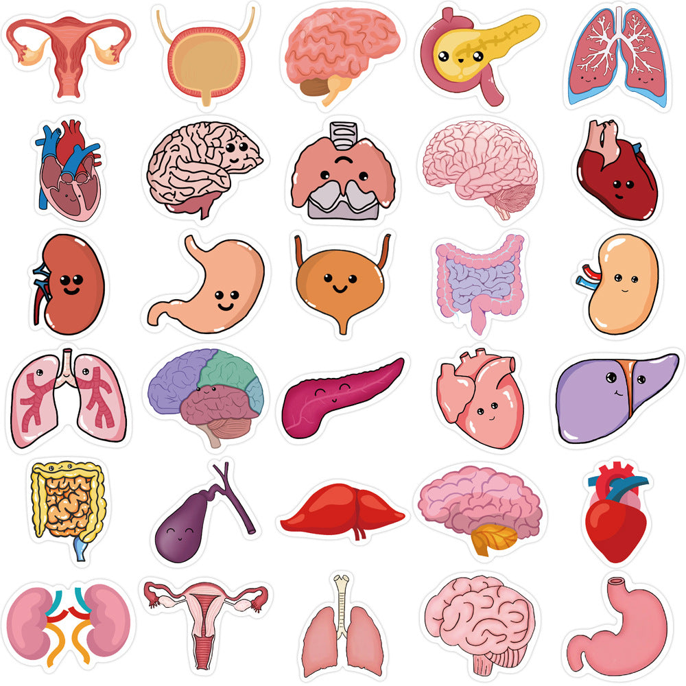 50pcs Cartoon Human Organ Medical Anatomy Stickers Laptop Bicycle Guitar Phone