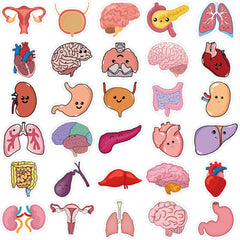 50pcs Cartoon Human Organ Medical Anatomy Stickers Laptop Bicycle Guitar Phone