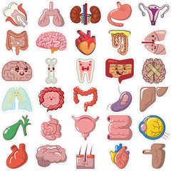 50pcs Cartoon Human Organ Medical Anatomy Stickers Laptop Bicycle Guitar Phone