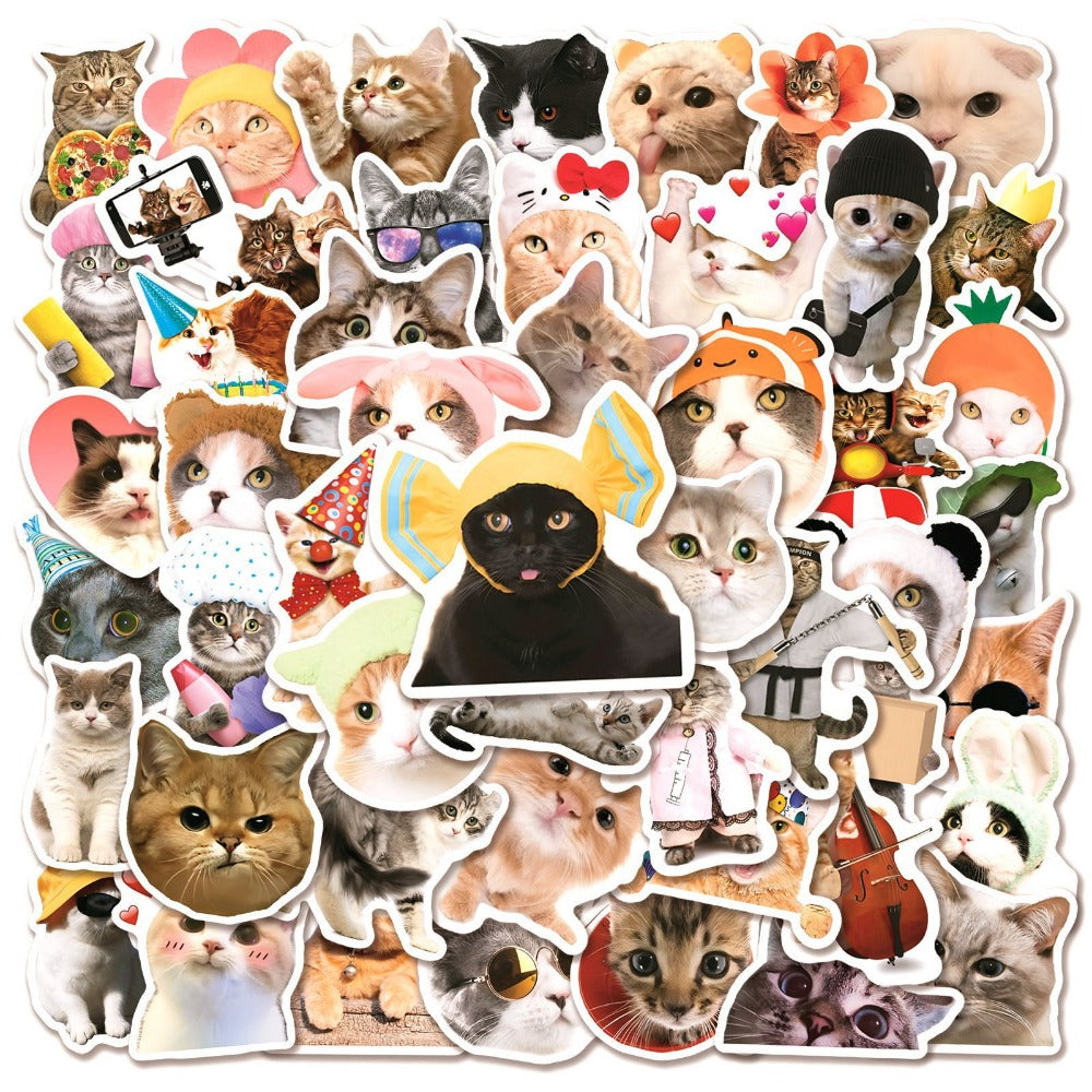 50pcs Funny Cat Stickers Animated Decoration Waterproof Stickers