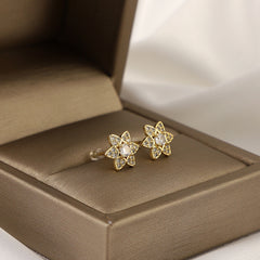 Hexagonal Star Zircon Earrings - Fashionable Copper Micro Inlay
