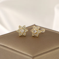 Hexagonal Star Zircon Earrings - Fashionable Copper Micro Inlay