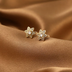 Hexagonal Star Zircon Earrings - Fashionable Copper Micro Inlay