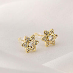 Hexagonal Star Zircon Earrings - Fashionable Copper Micro Inlay