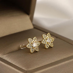 Hexagonal Star Zircon Earrings - Fashionable Copper Micro Inlay