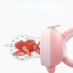 Silicone Baby Fruit Feeder Pacifier