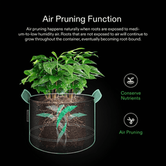 Heavy Duty 300G Non-woven Plant Fabric Planter 1pc