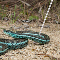 1pc Snake Hook Retractable Professional Snake Catching Tool Reptiles