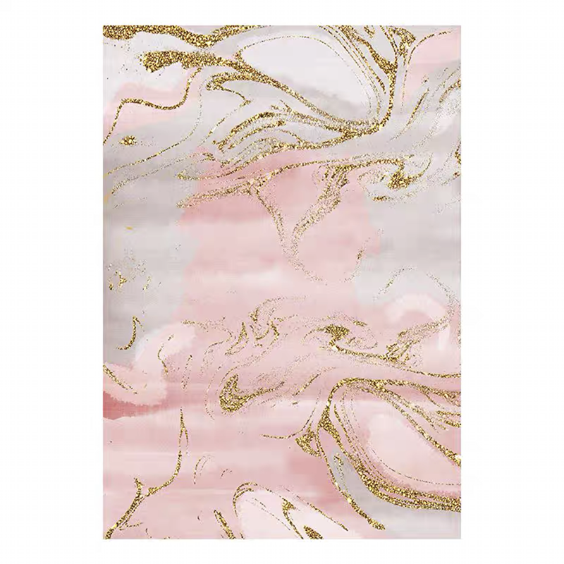 Nordic Style Pink Sofa Coffee Table Mat Abstract Large Area Non-slip Rug 80x160