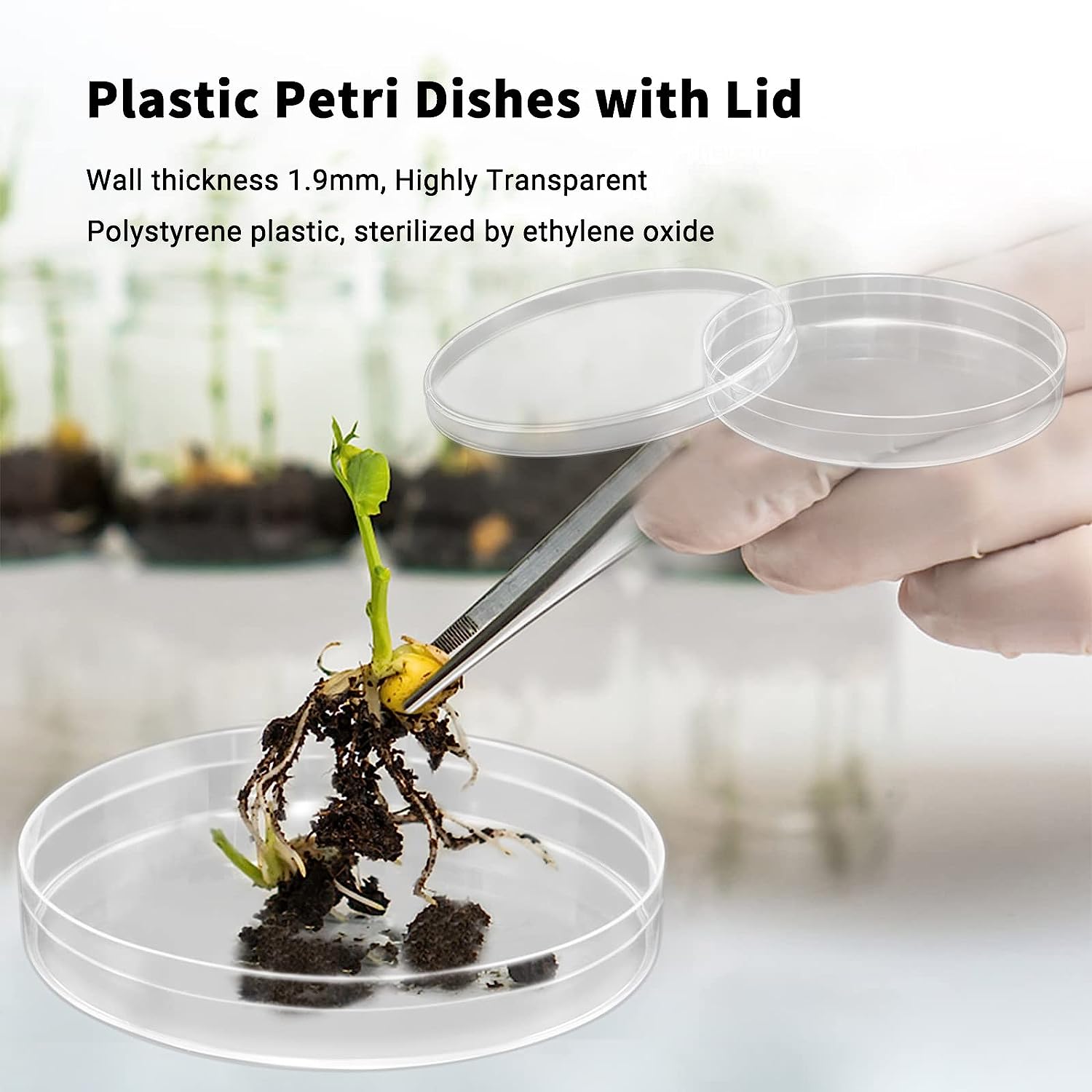 Student Petri Dish Lab Analysis School Projects