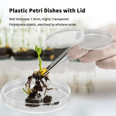 Student Petri Dish Lab Analysis School Projects