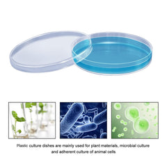 Student Petri Dish Lab Analysis School Projects