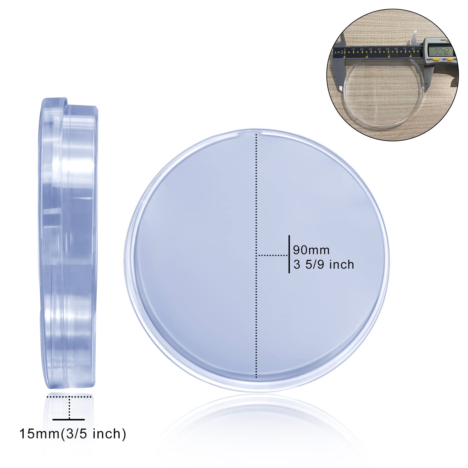 Student Petri Dish Lab Analysis School Projects