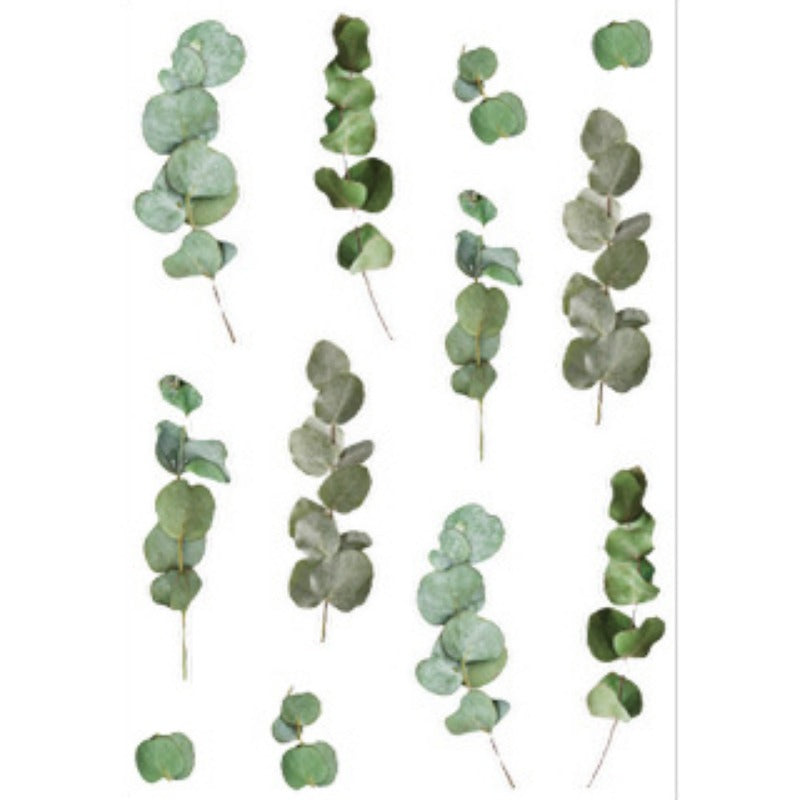 Small Fresh Plant Sticker DIY Material for Journal Decoration Self-Adhesive