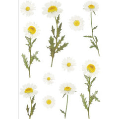 Small Fresh Plant Sticker DIY Material for Journal Decoration Self-Adhesive