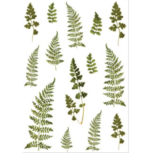 Small Fresh Plant Sticker DIY Material for Journal Decoration Self-Adhesive