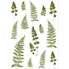 Small Fresh Plant Sticker DIY Material for Journal Decoration Self-Adhesive