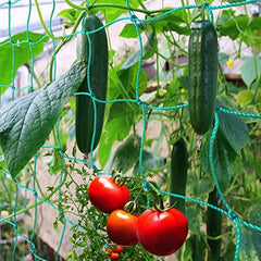 Heavy Duty Garden Trellis Netting for Climbing Plants