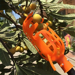 Fruit Picker Head Basket, High Altitude Bayberry Harvester
