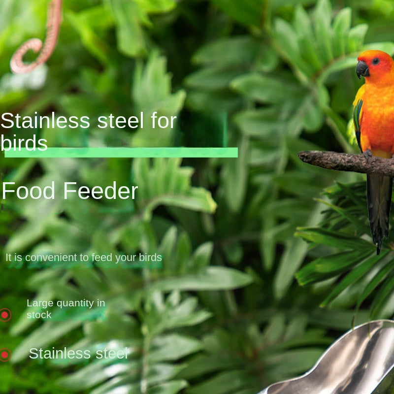 Stainless Steel Bird Feeding Spoon Tool For Parrots