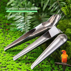 Stainless Steel Bird Feeding Spoon Tool For Parrots