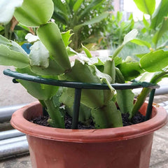 2pcs Plastic Plant Support Pile Frame Greenhouse Semicircle Fixed Rod