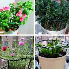 2pcs Plastic Plant Support Pile Frame Greenhouse Semicircle Fixed Rod